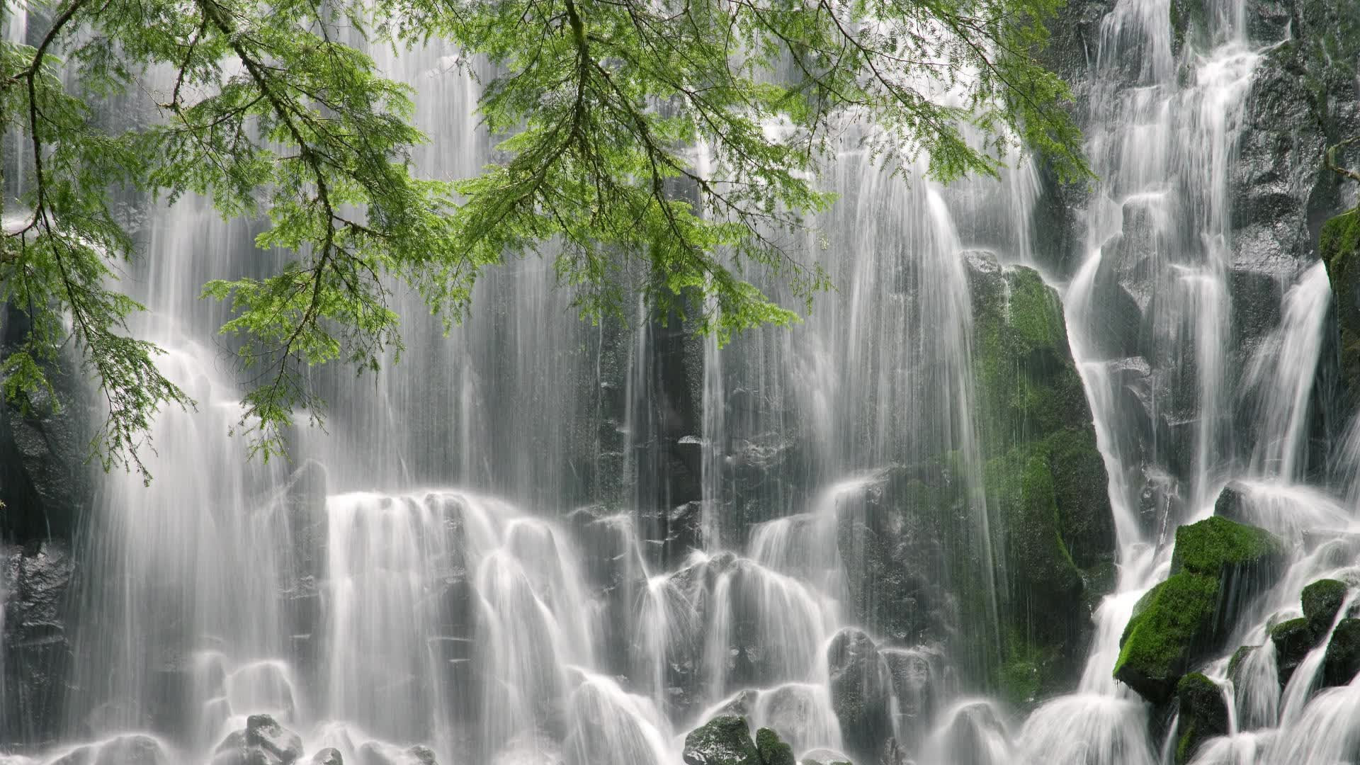 世界游泳锦标赛观赛便利设施升级引好评,世界游泳锦标赛项目