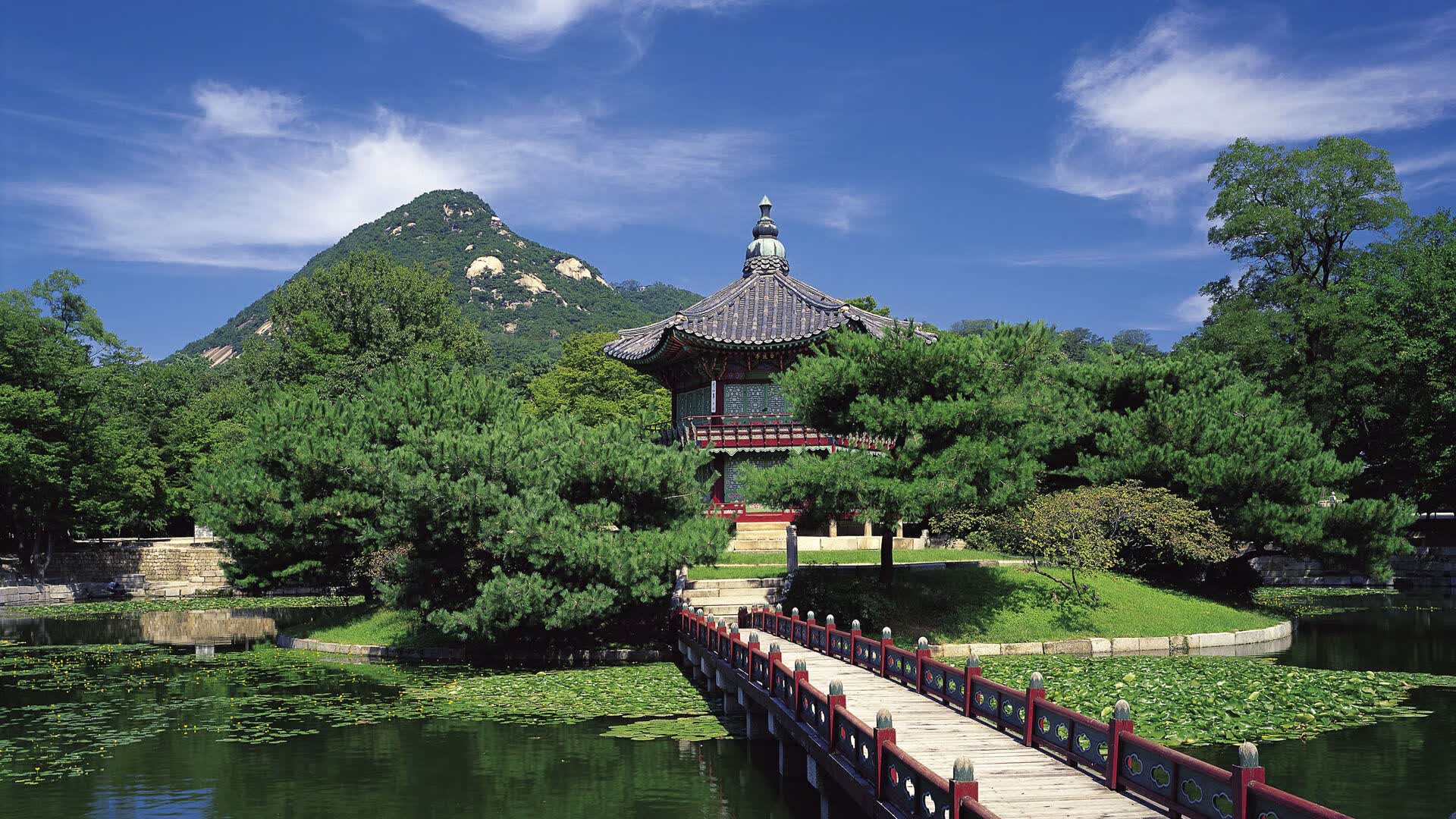 世界羽毛球超级系列赛赛后医学团队经验交流会举办,世界羽毛球大奖赛